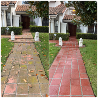 Paver Cleaning